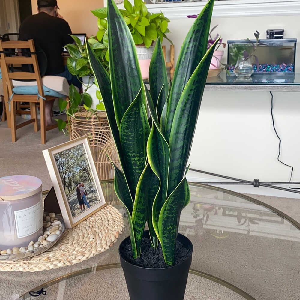 SNAKE PLANT! (Artificial) perfect condition! 🪴